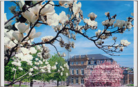 DUMONT Bildatlas Stuttgart DUMONT Bildatlas Stuttgart