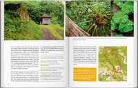 52 kleine & große Eskapaden im Schwarzwald 52 kleine & große Eskapaden im Schwarzwald