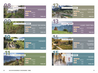 Suisse, Tessin, guide VTT Raus und Mountainbiken | E-Mountainbiken, édition allemande