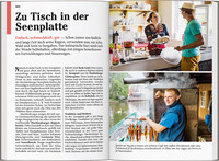 DUMONT Reise-Taschenbuch Reiseführer Mecklenburgische Seenplatte DUMONT Reise-Taschenbuch Reiseführer Mecklenburgische Seenplatte