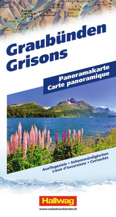 Suisse, Grisons Carte panoramique