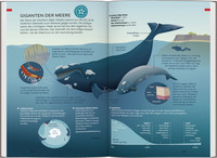 Baedeker Reiseführer Kapstadt, Garden Route