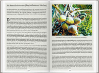 DUMONT Reise-Handbuch Reiseführer Seychellen DUMONT Reise-Handbuch Reiseführer Seychellen