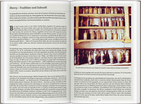 DUMONT Reise-Handbuch Reiseführer Andalusien DUMONT Reise-Handbuch Reiseführer Andalusien