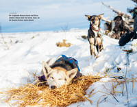Wintertanz