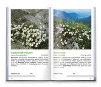 Alpenblumen