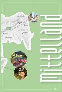 Schweiz, E-Bike Touren, Freizeitführer Erlebnis Schweiz