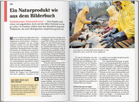 DUMONT Reise-Taschenbuch Reiseführer Franken