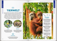 LONELY PLANET Reiseführer Indonesien LONELY PLANET Reiseführer Indonesien