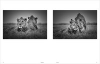 KUNTH Bildband Wild und frei KUNTH Bildband Wild und frei