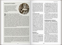 DUMONT Reise-Handbuch Reiseführer Laos, Kambodscha DUMONT Reise-Handbuch Reiseführer Laos, Kambodscha