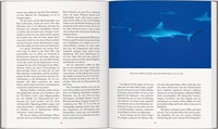 LONELY PLANET Bildband Mach deine Reise LONELY PLANET Bildband Mach deine Reise