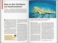 DUMONT Reise-Taschenbuch Reiseführer Fuerteventura DUMONT Reise-Taschenbuch Reiseführer Fuerteventura