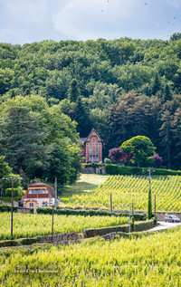 TRESCHER Reiseführer Burgund TRESCHER Reiseführer Burgund