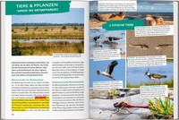 MARCO POLO OUTDOOR GUIDE Reiseführer Ostfriesland & Ostfriesische Inseln MARCO POLO OUTDOOR GUIDE Reiseführer Ostfriesland & Ostfriesische Inseln
