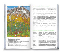Fiori alpini Fiori alpini