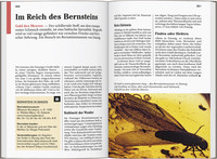 DUMONT Reise-Taschenbuch Reiseführer Polnische Ostseeküste DUMONT Reise-Taschenbuch Reiseführer Polnische Ostseeküste