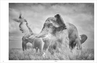 KUNTH Bildband Wild und frei KUNTH Bildband Wild und frei