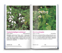 KOMPASS Naturführer Wiesenblumen KOMPASS Naturführer Wiesenblumen