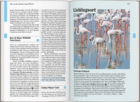DUMONT Reise-Taschenbuch Reiseführer Dubai
