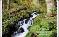 DUMONT Bildatlas Schwarzwald Süden DUMONT Bildatlas Schwarzwald Süden