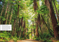 KUNTH Unterwegs in Neuseeland