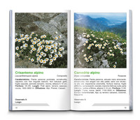 Fiori alpini