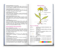 KOMPASS Naturführer Wiesenblumen KOMPASS Naturführer Wiesenblumen