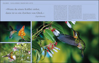 KUNTH Costa Rica. Das Buch KUNTH Costa Rica. Das Buch