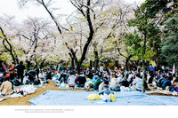 Tokyo. Eine Augenreise Tokyo. Eine Augenreise
