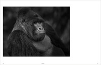KUNTH Bildband Wild und frei KUNTH Bildband Wild und frei