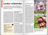 DUMONT Reise-Taschenbuch Reiseführer Mosel DUMONT Reise-Taschenbuch Reiseführer Mosel