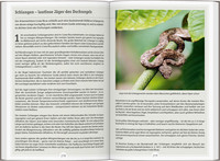 DUMONT Reise-Handbuch Reiseführer Costa Rica