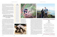 LONELY PLANET Bildband Legendäre Laufstrecken