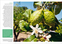 KUNTH Wann wohin mit dem Wohnmobil Europa