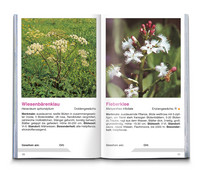 KOMPASS Naturführer Wiesenblumen KOMPASS Naturführer Wiesenblumen