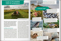 MARCO POLO OUTDOOR GUIDE Reiseführer Ostseeküste Schleswig-Holstein