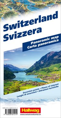 Switzerland Panoramic map