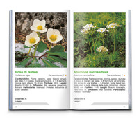 Fiori alpini