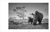KUNTH Bildband Wild und frei KUNTH Bildband Wild und frei