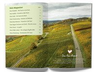 Switzerland, Eastern Switzerland & Zurich, E-Bike Guide Raus und E-Biken