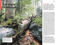 DUMONT Reise-Taschenbuch Reiseführer Bayerischer Wald, Regensburg, Oberpfälzer Wald