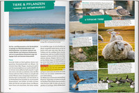 MARCO POLO OUTDOOR GUIDE Reiseführer Nordseeküste Schleswig-Holstein MARCO POLO OUTDOOR GUIDE Reiseführer Nordseeküste Schleswig-Holstein
