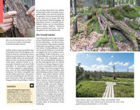 DuMont Reise-Taschenbuch Reiseführer Bayerischer Wald Regensburg Oberpfälzer Wald