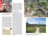 DUMONT Reise-Taschenbuch Reiseführer Bayerischer Wald, Regensburg, Oberpfälzer Wald
