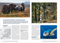 KUNTH Best of Europa KUNTH Best of Europa