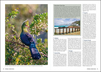 KUNTH Unterwegs in Südafrika