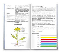 Alpenblumen