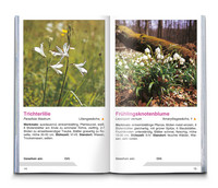 KOMPASS Naturführer Wiesenblumen KOMPASS Naturführer Wiesenblumen