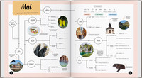 LONELY PLANET Bildband Wann am besten wohin Europa LONELY PLANET Bildband Wann am besten wohin Europa